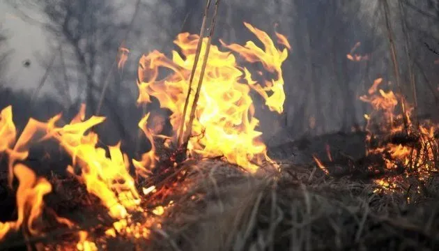 Over the past day, 454 fires in natural ecosystems were recorded in Ukraine - SES Over the past day, 454 fires in natural ecosystems were recorded in Ukraine - SES