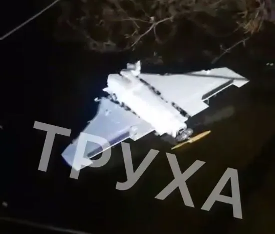 Wreckage of a downed drone fell into a pond in Kyiv: what is known about the incident Wreckage of a downed drone fell into a pond in Kyiv: what is known about the incident