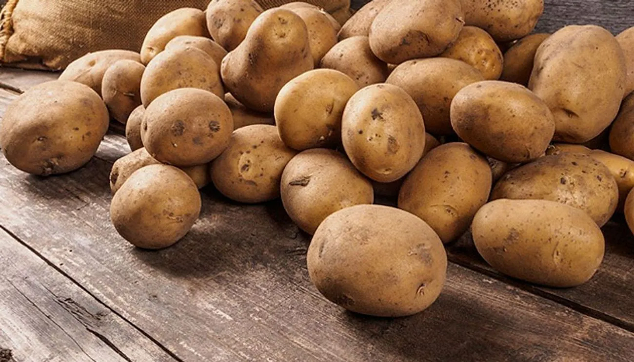 Potato prices in Russia have increased by 173%, the authorities are buying it in Mongolia - CCD Potato prices in Russia have increased by 173%, the authorities are buying it in Mongolia - CCD